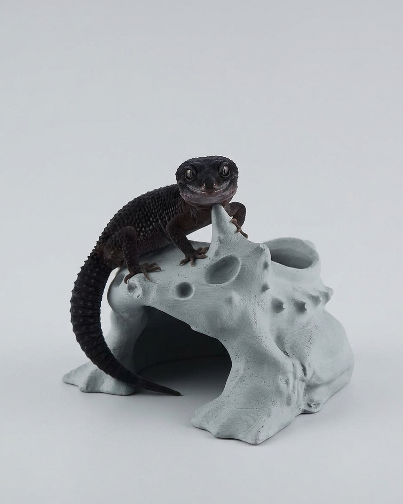 Gecko Nest-BIO POD