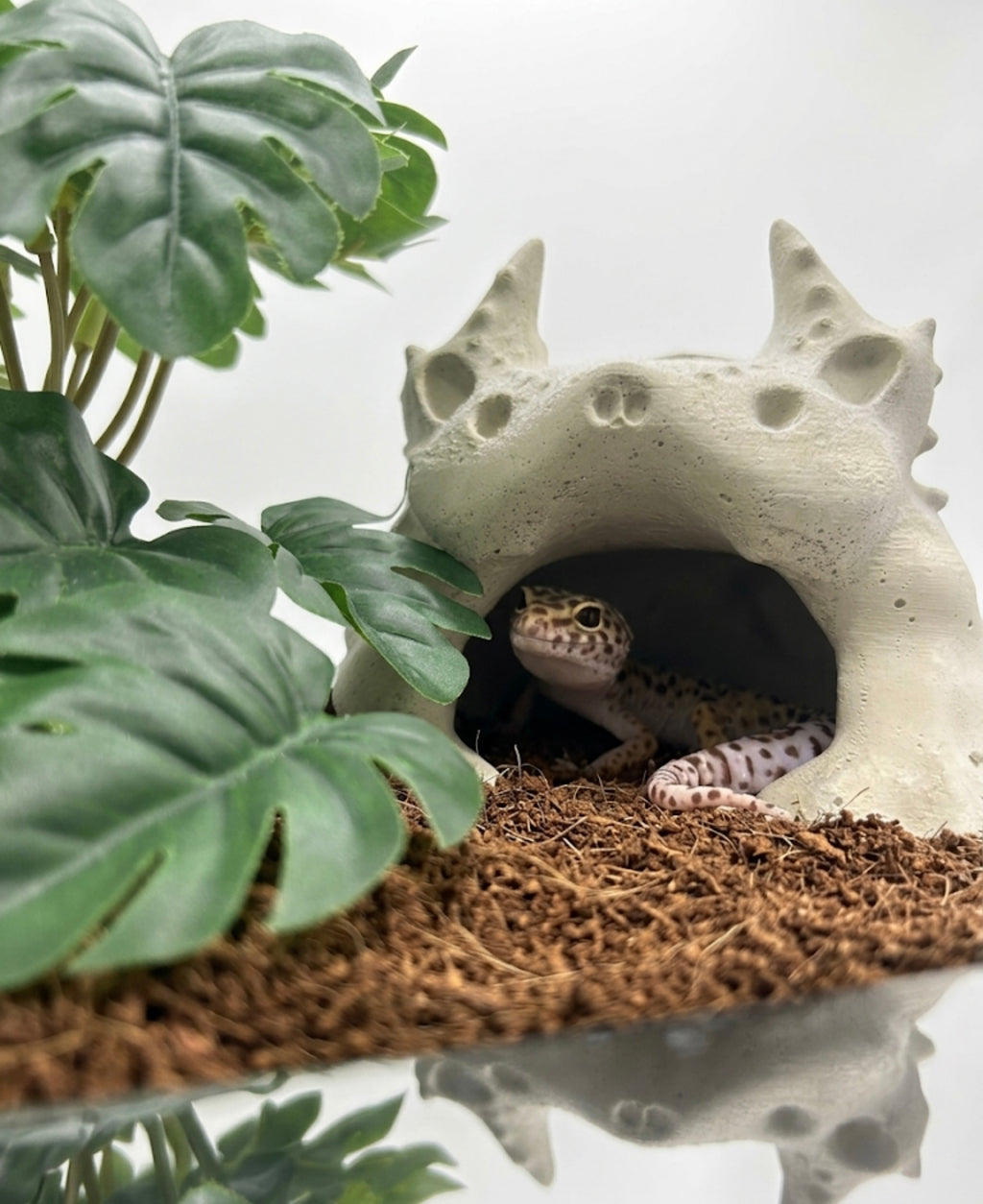 Gecko Nest-BIO POD