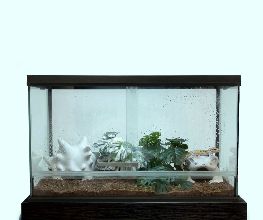 Gecko Nest-BIO POD